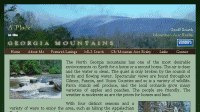 A Place in the Georgia Mountains Real Estate