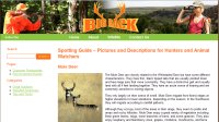 Spotting and Hunting Guide