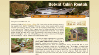 Ellijay and Blue Ridge Cabin Rentals